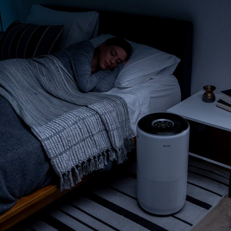 Levoit Core 400S-P Air Purifier+Extra Filter Combo