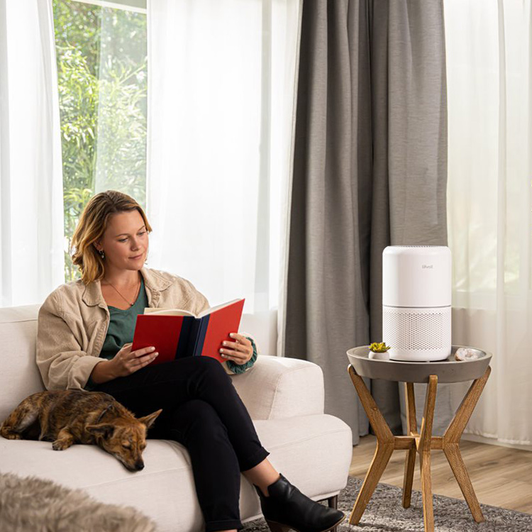 Levoit Core 300S-P Air Purifier Extra Filter Combo
