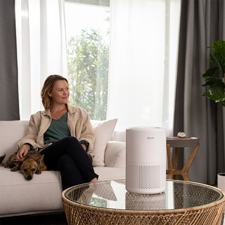 Levoit Core 200S-P Air Purifier+Extra Filter Combo